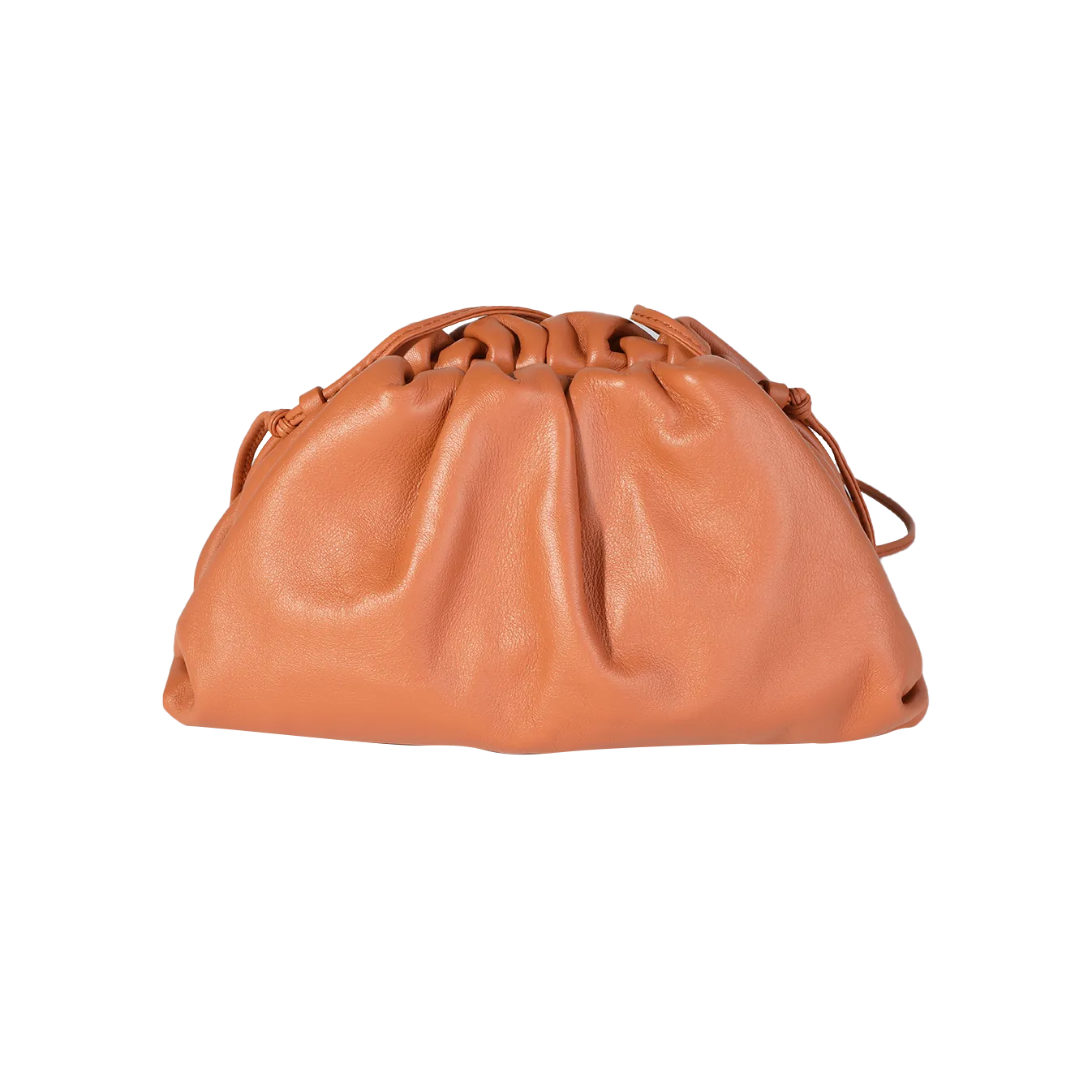 Bottega Veneta Clay Calfskin Mini Pouch