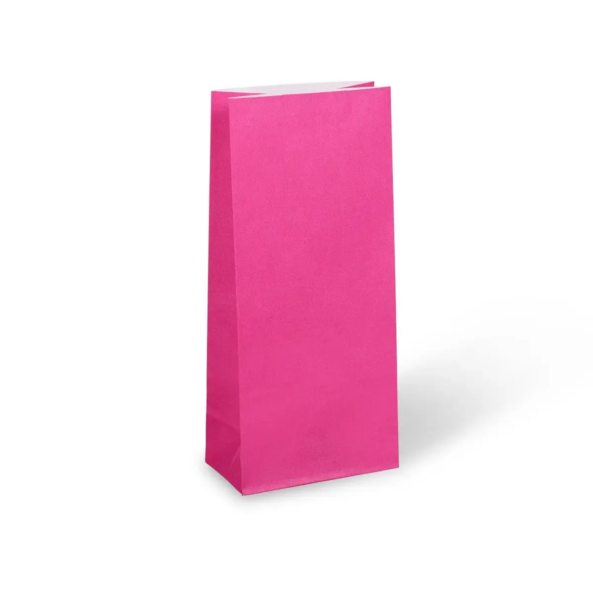 Hot Pink Paper Party Bags 22cm x 10cm - Packet of 12