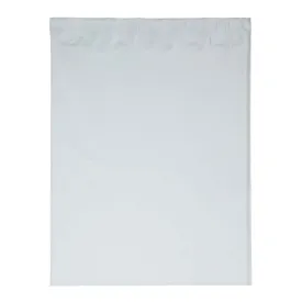 Wholesale 15W x 18H Plastic Mailer Plastic Bag - 9154